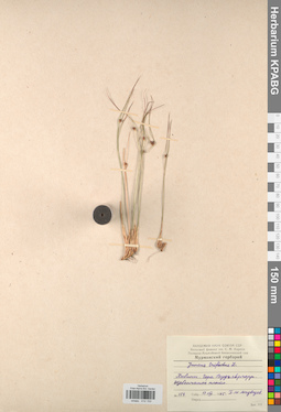 KPABG012153