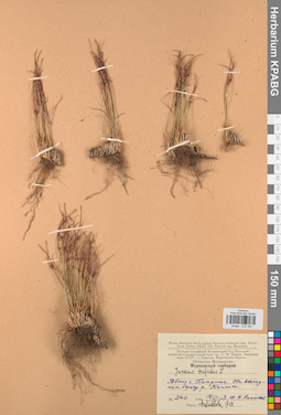KPABG012155