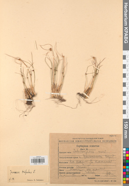 KPABG012172