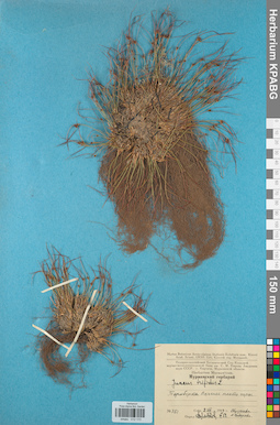 KPABG012173