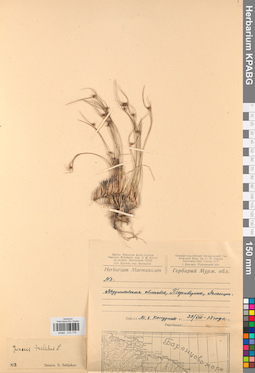 KPABG012179