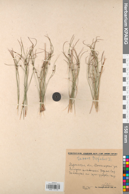 KPABG012180