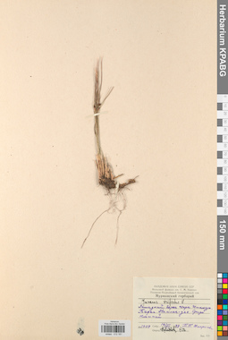 KPABG012181