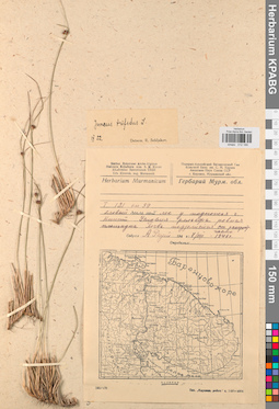 KPABG012189