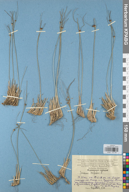 KPABG012199