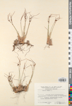 KPABG012206