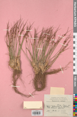 KPABG012207