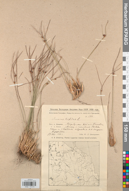 KPABG012215