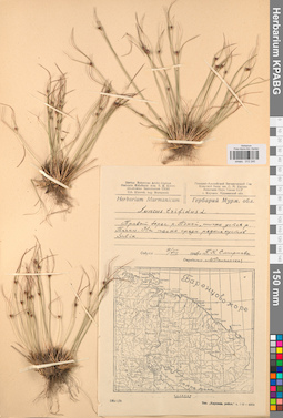 KPABG012240