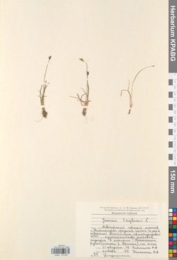 KPABG012280