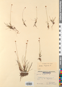 KPABG012301