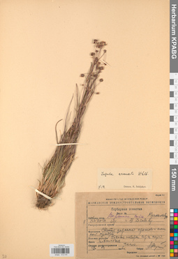KPABG012316