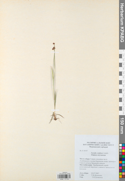 KPABG012354