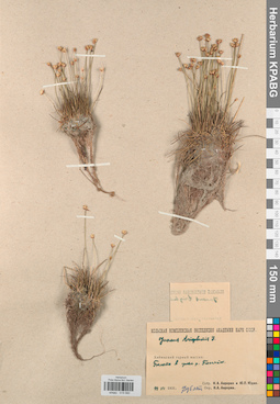 KPABG019580