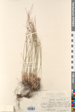 KPABG046431