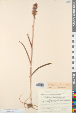 KPABG013891
