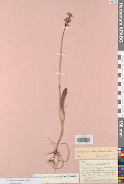 KPABG013892