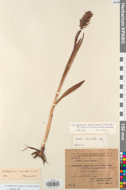 KPABG013907