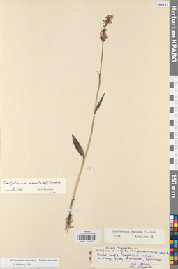 KPABG013915