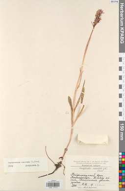 KPABG013917