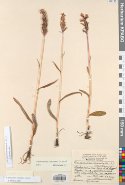 KPABG013918