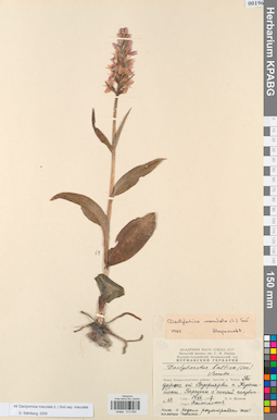 KPABG013920