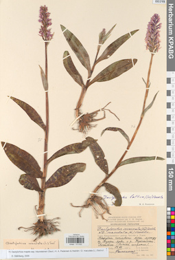 KPABG013922
