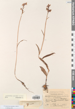 KPABG013926