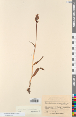 KPABG013927