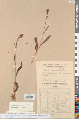 KPABG013932
