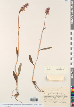 KPABG013940