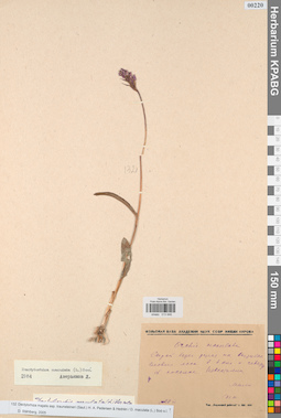 KPABG013946