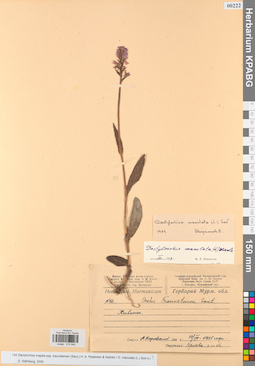 KPABG013948