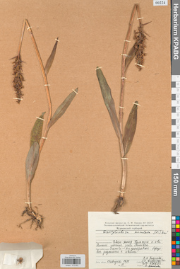 KPABG013952