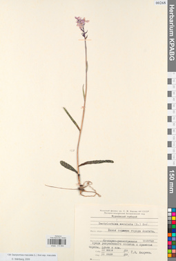 KPABG013954