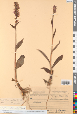 KPABG013957