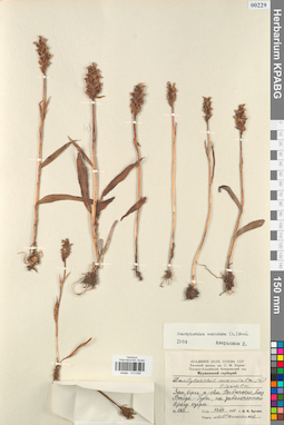 KPABG013958