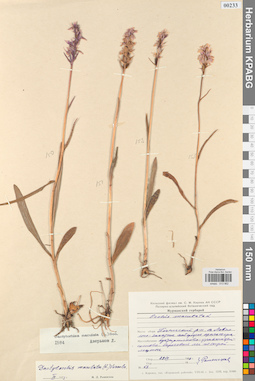 KPABG013962