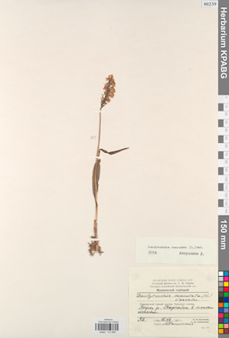 KPABG013968