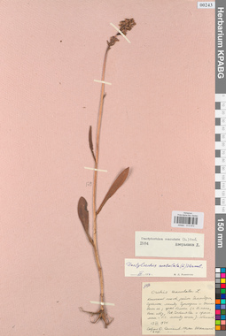 KPABG013972