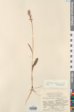 KPABG013973