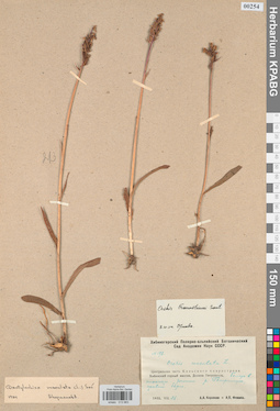 KPABG013983