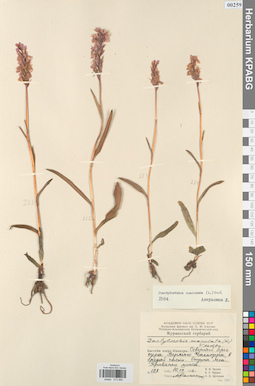 KPABG013990