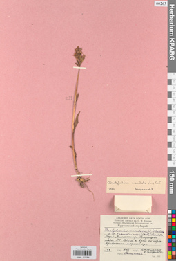 KPABG013994