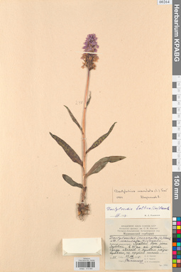 KPABG013995