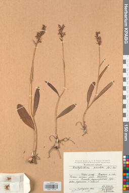 KPABG014002
