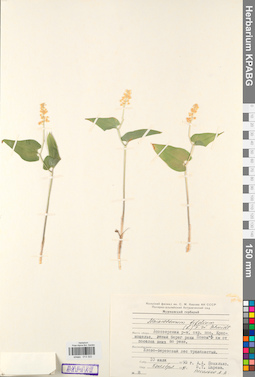 KPABG013322