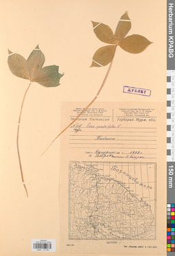 KPABG013383