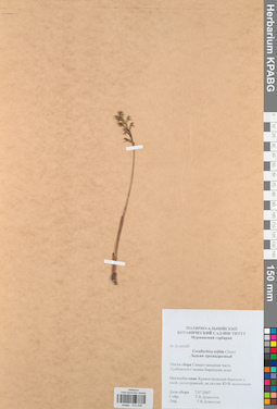 KPABG013438