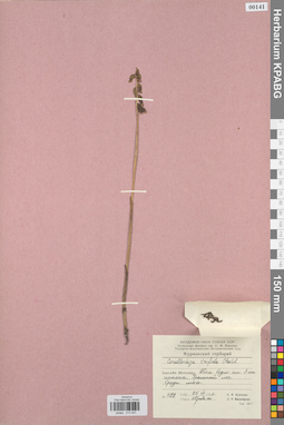 KPABG013447